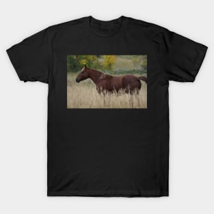 Brown Wild Horse T-Shirt